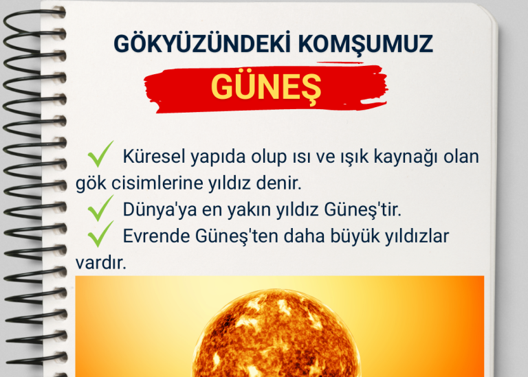5.Sınıf Fen Bilimleri 1.Ünite Gökyüzündeki Komşularımız ve Biz Çalışma Kağıdı (PDF)
