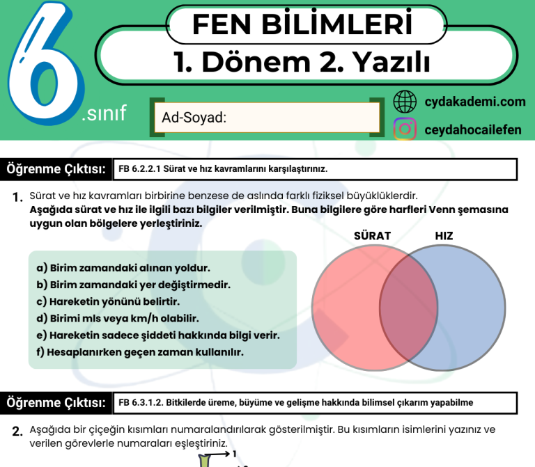 6.Sınıf Fen Bilimleri 1. Dönem 2. Yazılıya Hazırlık: Çıkması Muhtemel Sorular (PDF)