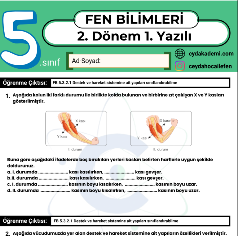 5.sınıf fen bilimleri yazılıya hazırlık pdf